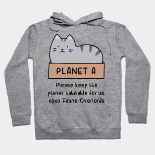 Gray Cat - Habitable Planet (White) Hoodie